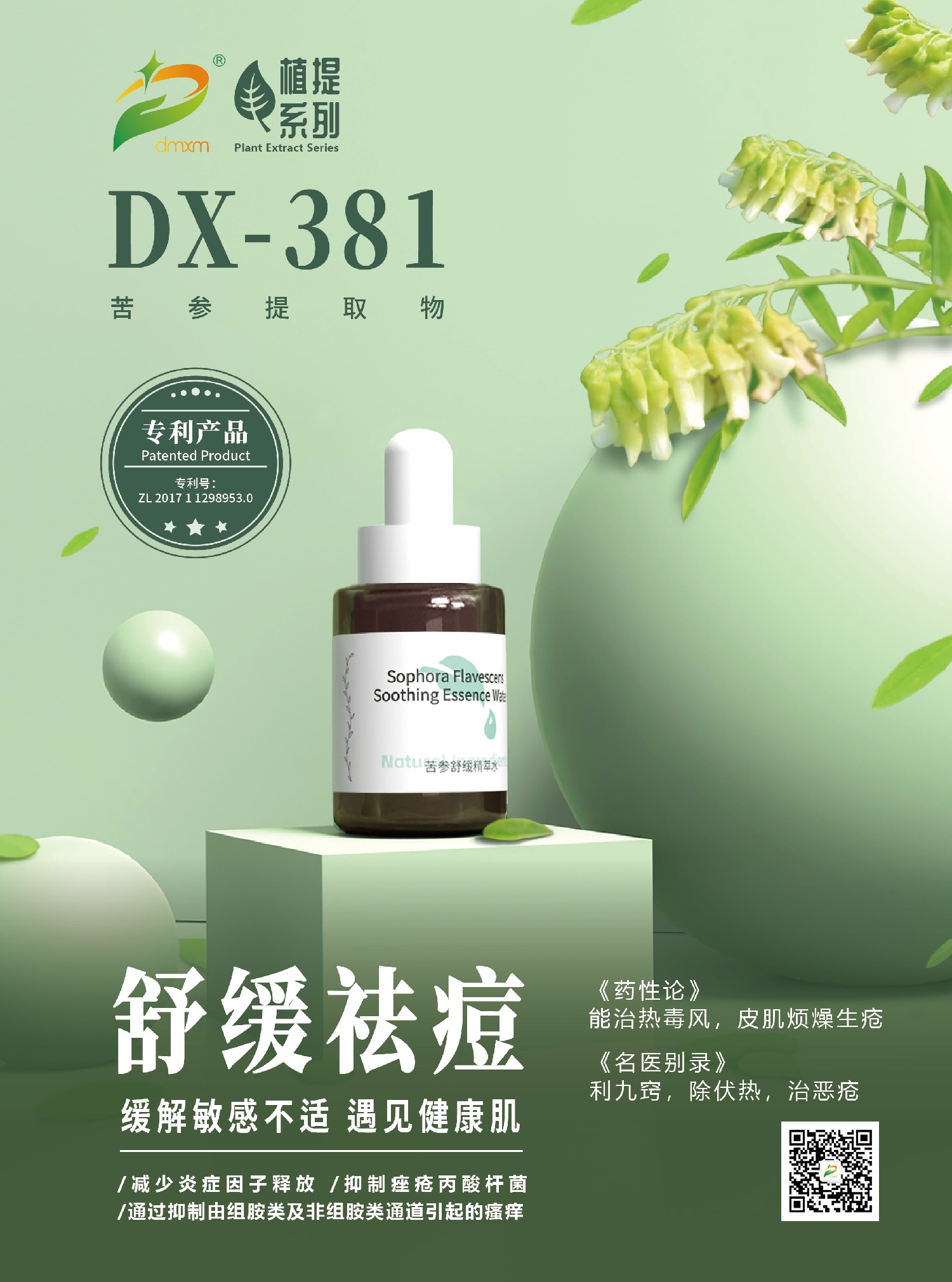 苦參提取物產(chǎn)品海報A_畫板 1(1).jpg